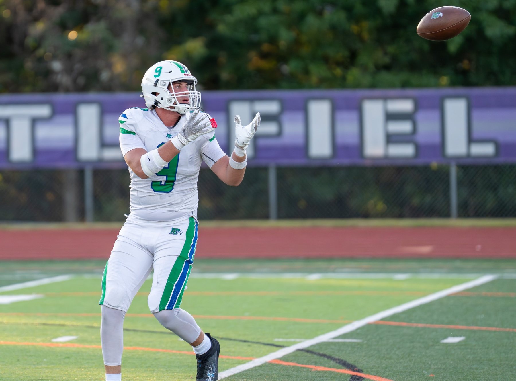 Quarterback preparing to throw